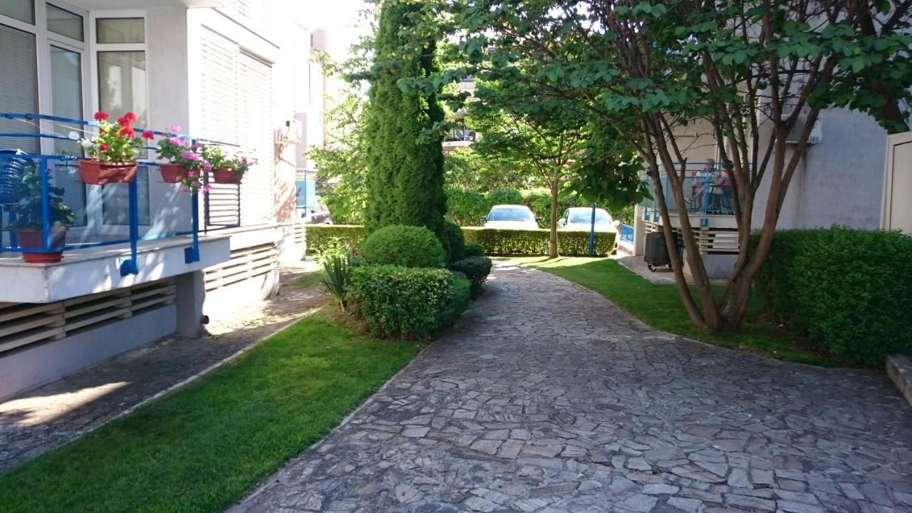 Апарт-отели Complex Elit 1 Солнечный Берег-19