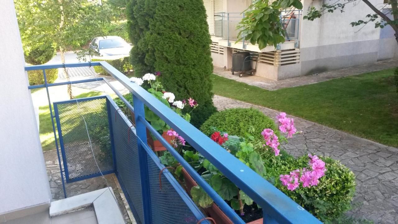 Апарт-отели Complex Elit 1 Солнечный Берег-24