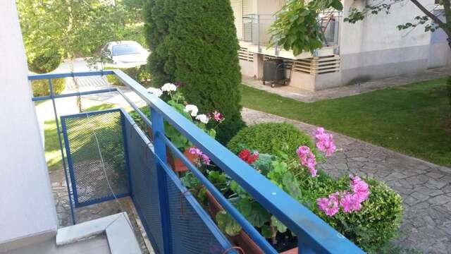 Апарт-отели Complex Elit 1 Солнечный Берег-23